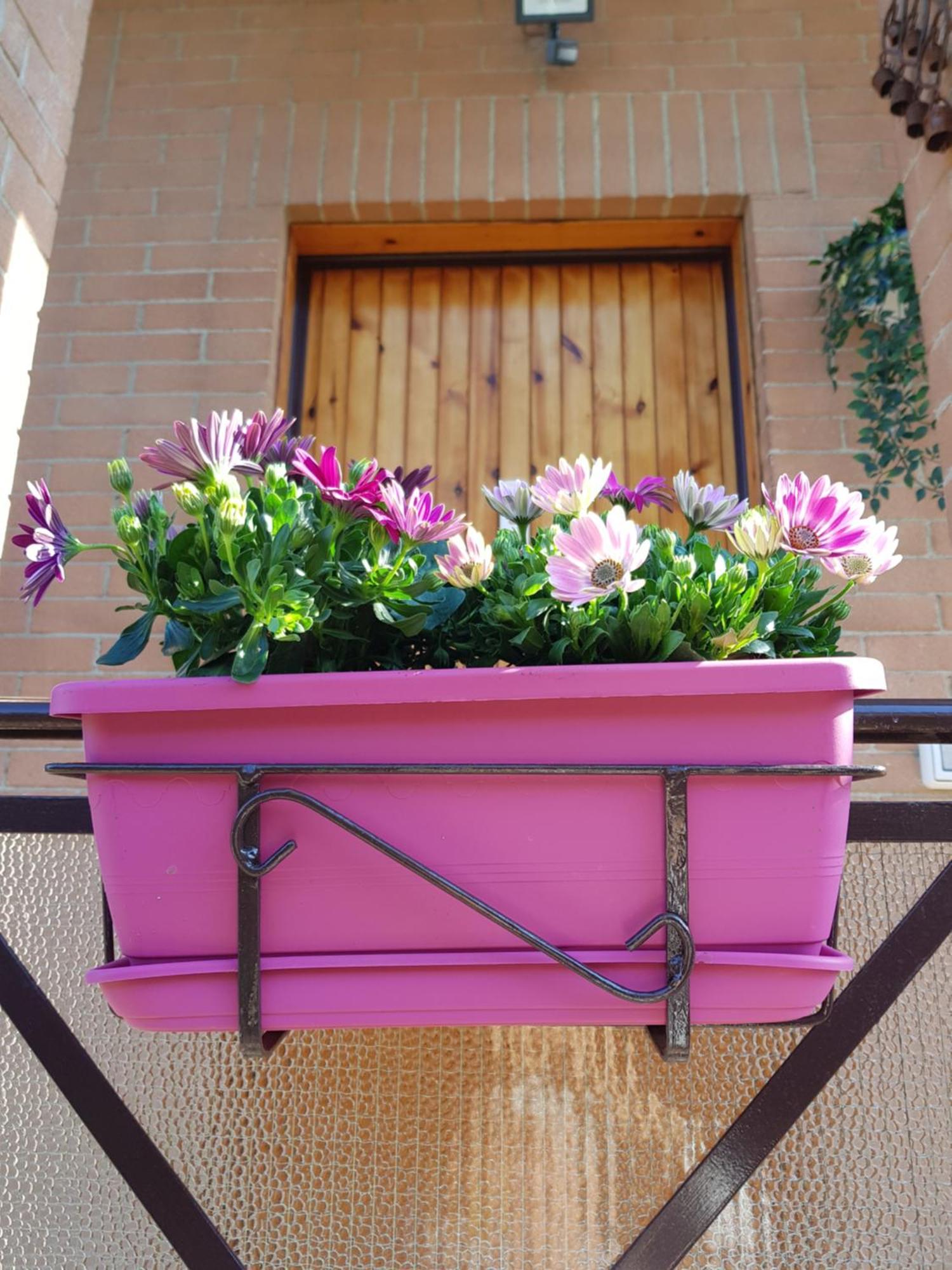 In Villino Appartamento *
