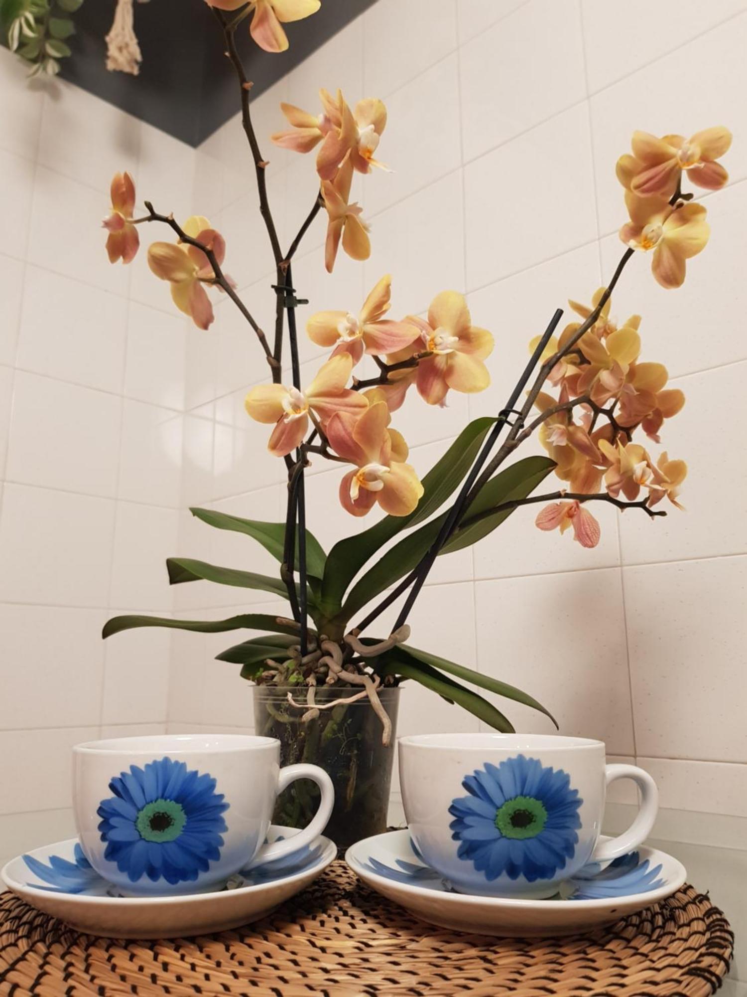 Apartment In Villino Rome